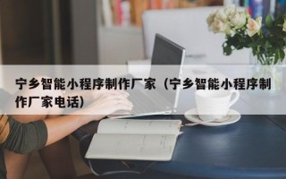 博罗宁乡智能小程序制作厂家（宁乡智能小程序制作厂家电话）