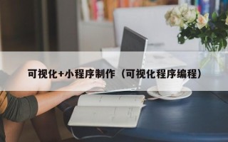 博罗可视化+小程序制作（可视化程序编程）